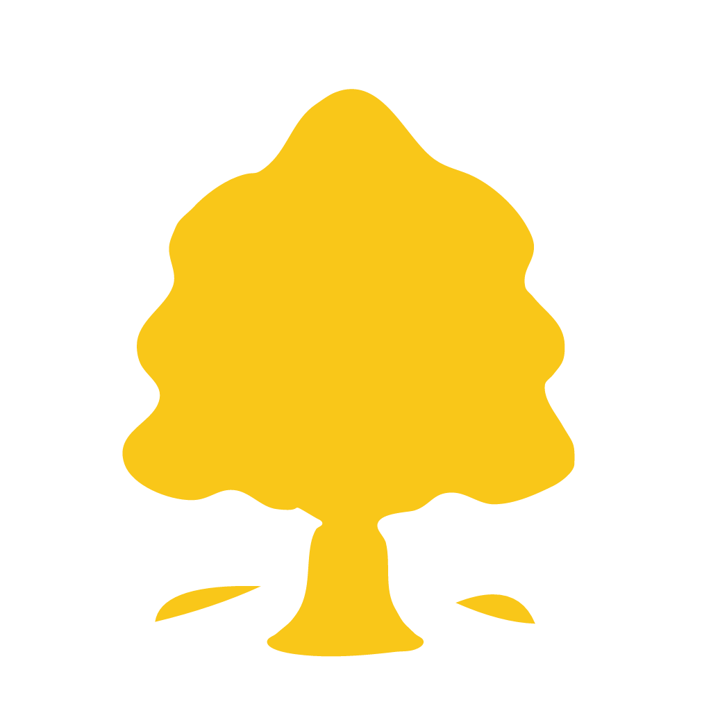 08-yard-cleanup